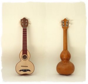 Cavaquinho de Cabaça