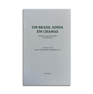 Um Brasil Ainda Em Chamas :: antologia de poesia brasileira