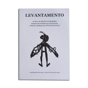 Levantamento :: Regina Guimarães