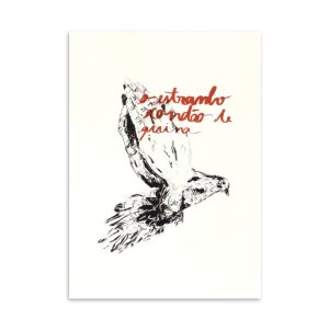 espiritualidade-patricia-verme